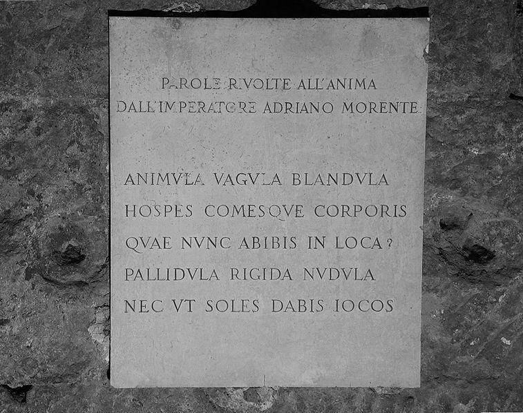 Animula,_vagula,_blandula_(13307208213)