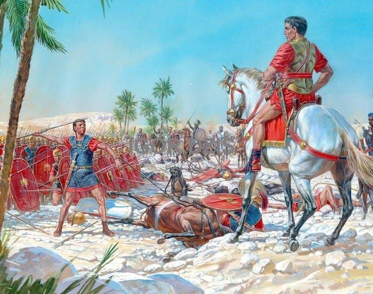 thapsus 4d918df2d3deb21ee82d542d820596a4