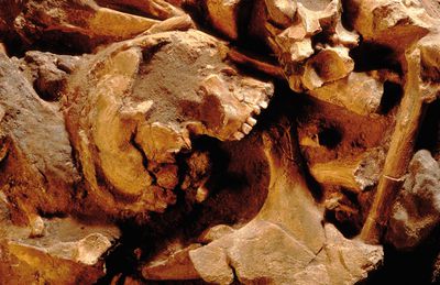 teutoburg csm_2015-02-16-Archaeologie_Knochen1_2fe2fe6301