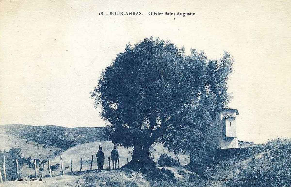 Agostinho Souk_Ahras_olivier_augustin